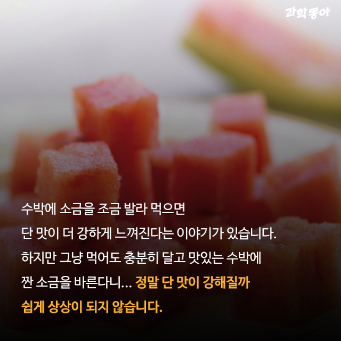 (주)동아사이언스 제공